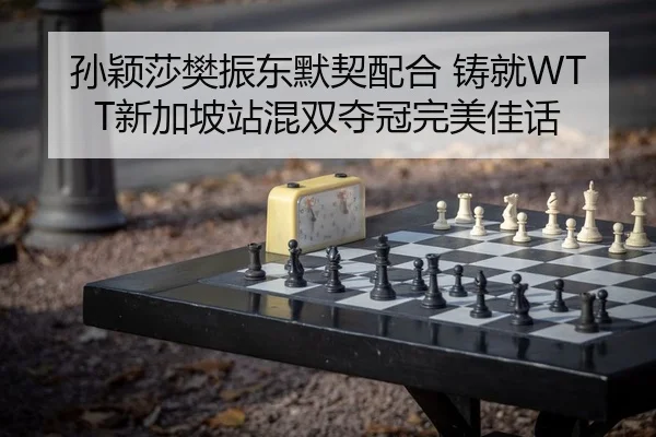 孙颖莎樊振东默契配合 铸就WTT新加坡站混双夺冠完美佳话